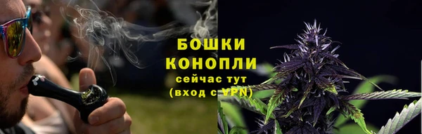 дживик Магас