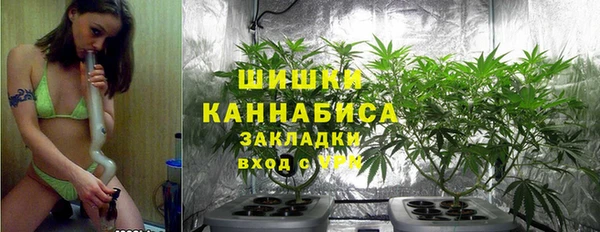 дживик Магас