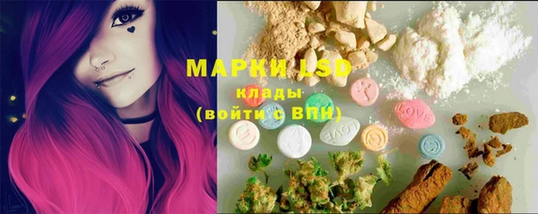 дживик Магас